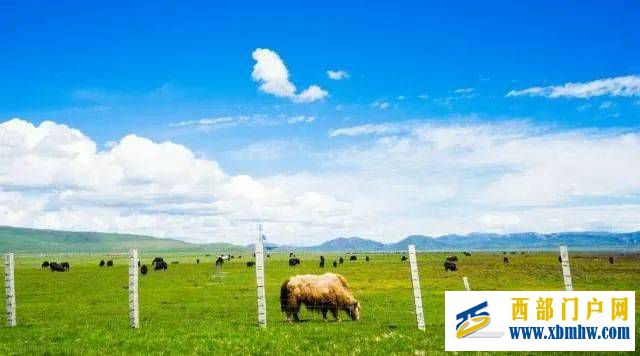 甘南!甘南!(图1) 甘南!甘南!(图1)