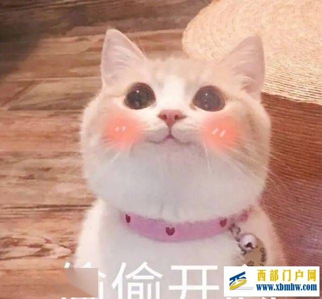 只针对巴中人!确定优惠!赶紧→(图1) 只针对巴中人!确定优惠!赶紧→(图1)