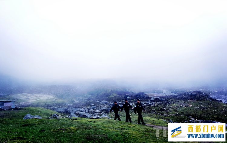 西藏林芝:卧龙镇虫草采挖区的二三事(图1) 西藏林芝:卧龙镇虫草采挖区的二三事(图1)