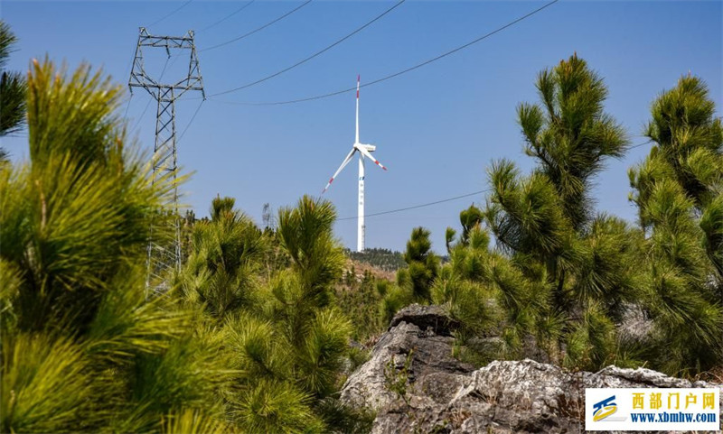 “漠”上花开——一个极度石漠化山乡的春天答卷(图1) “漠”上花开——一个极度石漠化山乡的春天答卷(图1)