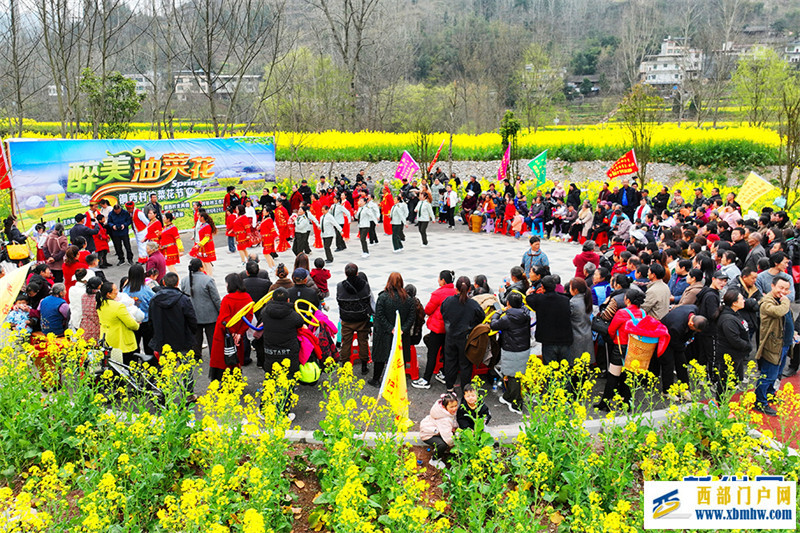 重庆酉阳:唱好“花经济” “颜值”变产值(图3) 重庆酉阳:唱好“花经济” “颜值”变产值(图3)