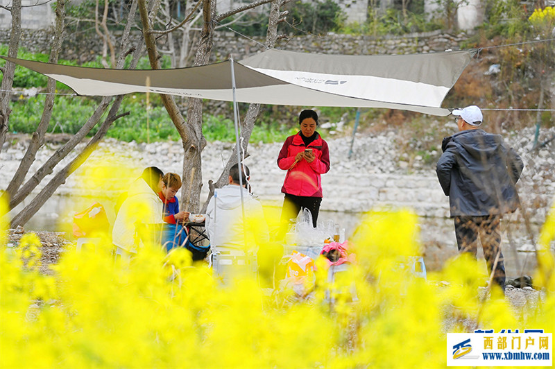 重庆酉阳:唱好“花经济” “颜值”变产值(图6) 重庆酉阳:唱好“花经济” “颜值”变产值(图6)