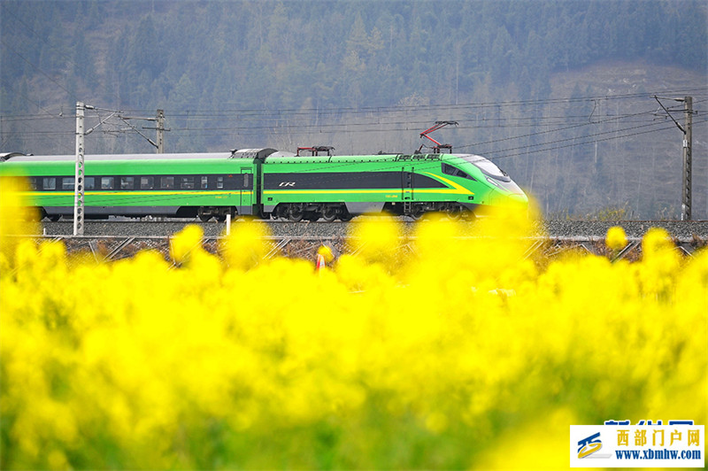 重庆酉阳:唱好“花经济” “颜值”变产值(图8) 重庆酉阳:唱好“花经济” “颜值”变产值(图8)