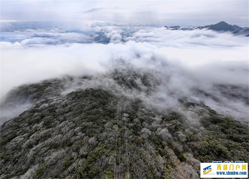 贵州梵净山:春日云海雾凇如画卷(图2) 贵州梵净山:春日云海雾凇如画卷(图2)