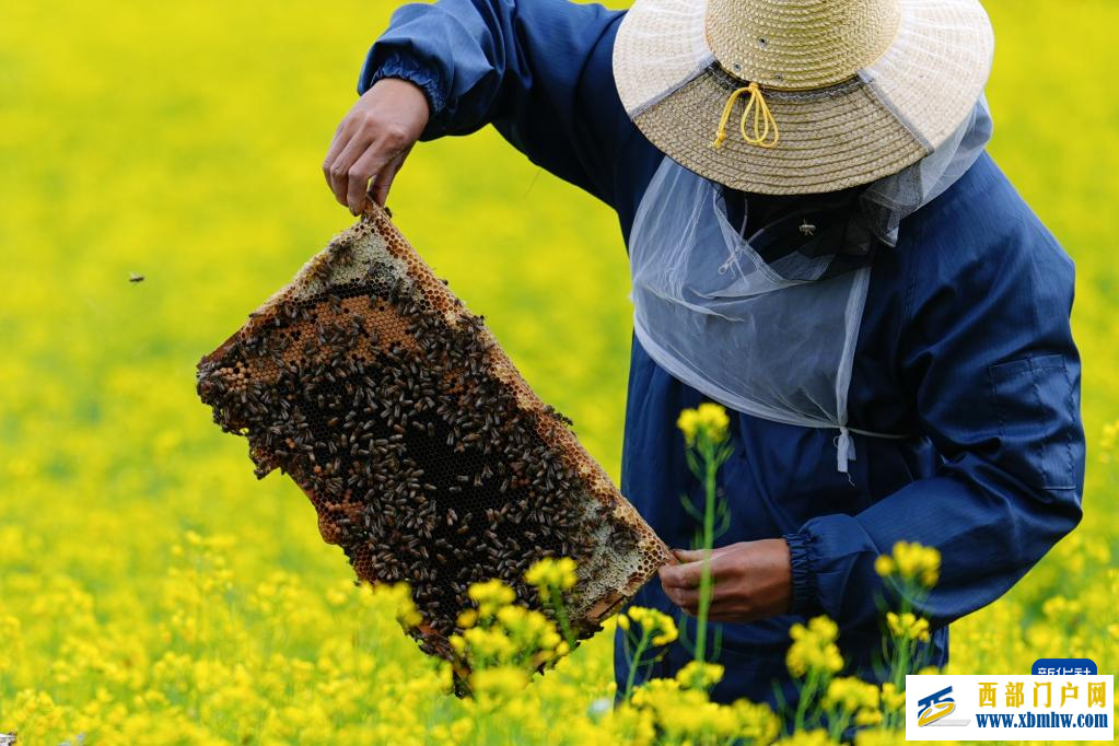 追花人家 甜在田间(图1) 追花人家 甜在田间(图1)