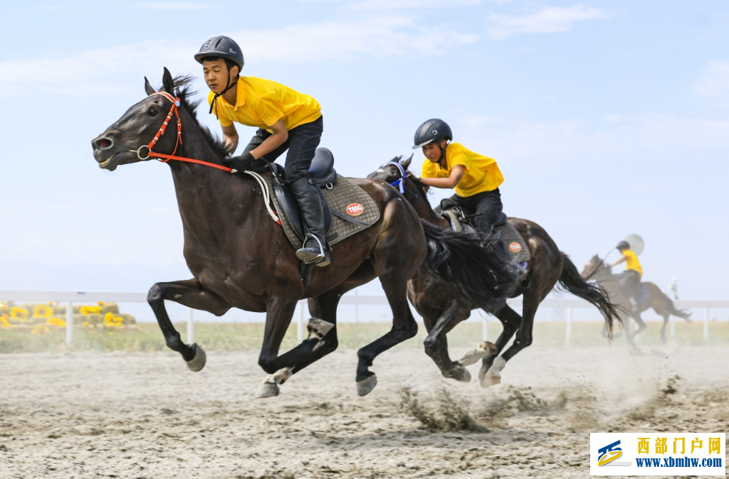 绿茵燃情 赛马奔腾——新疆夏日“赛”出经济新赛道(图2)
