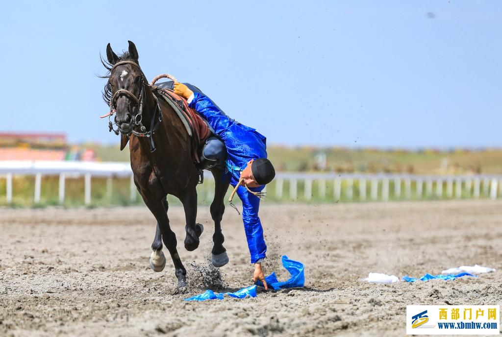 盛夏时节 在新疆昭苏领略万马奔腾(图9)