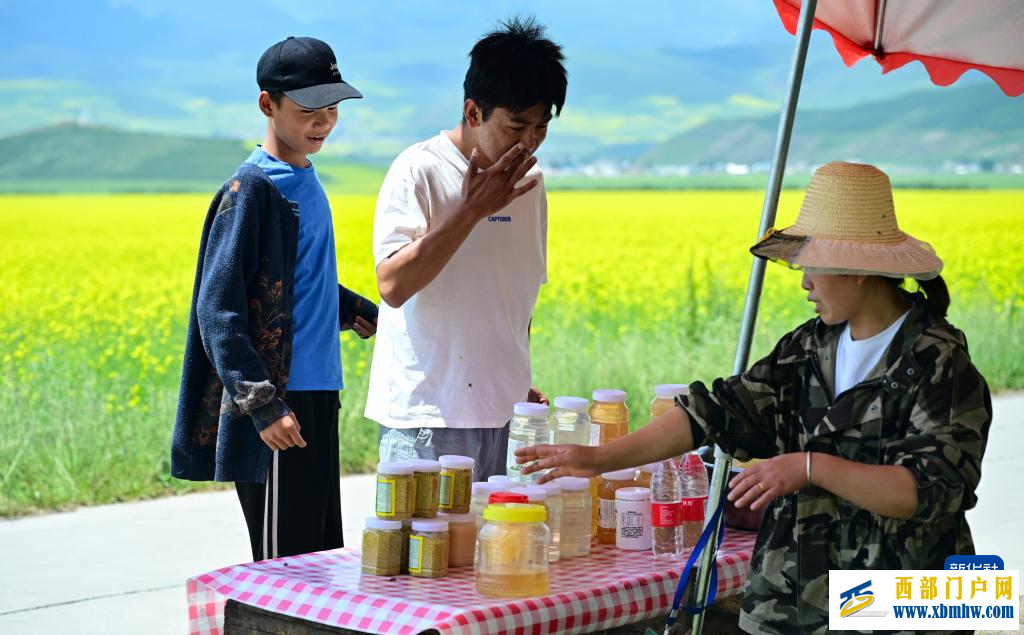追花人家 甜在田间(图4) 追花人家 甜在田间(图4)