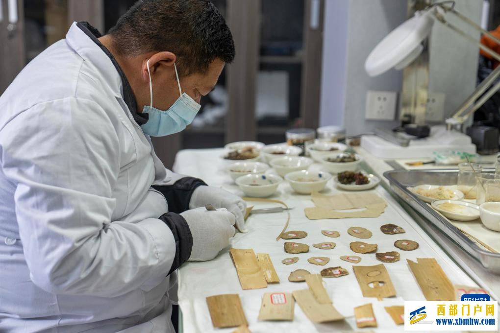 西藏布达拉宫：贝叶经实验性修复取得阶段性成果(图1)