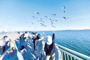 滇池畔再续人鸥情 昆明擦亮春城文旅名片(图1) 滇池畔再续人鸥情 昆明擦亮春城文旅名片(图1)