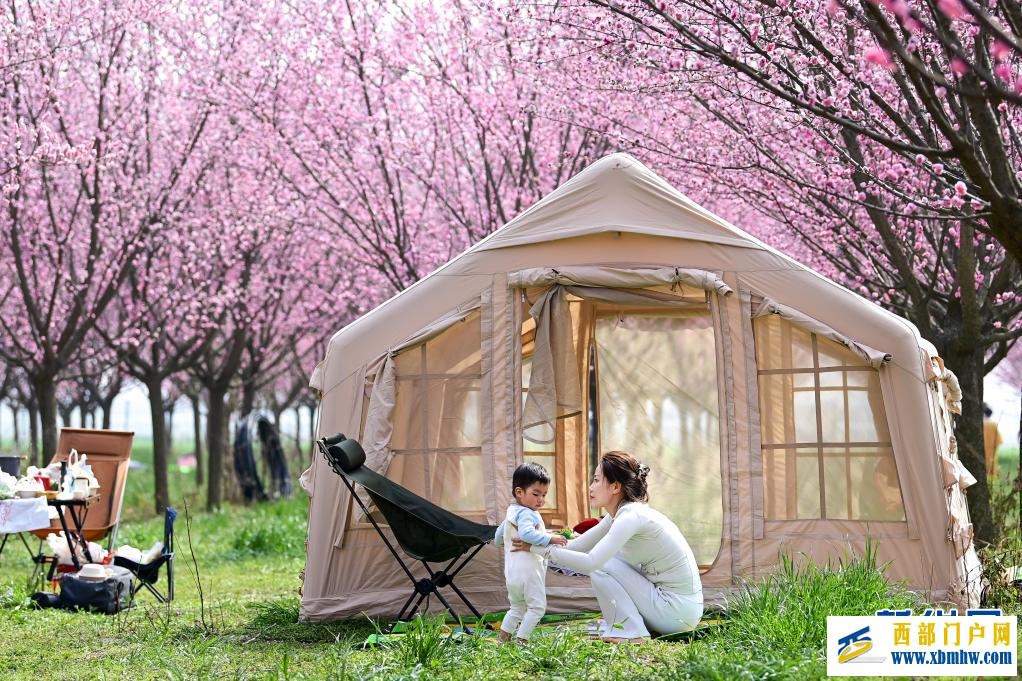 西安鄠邑：春日赏梅正当时(图1)