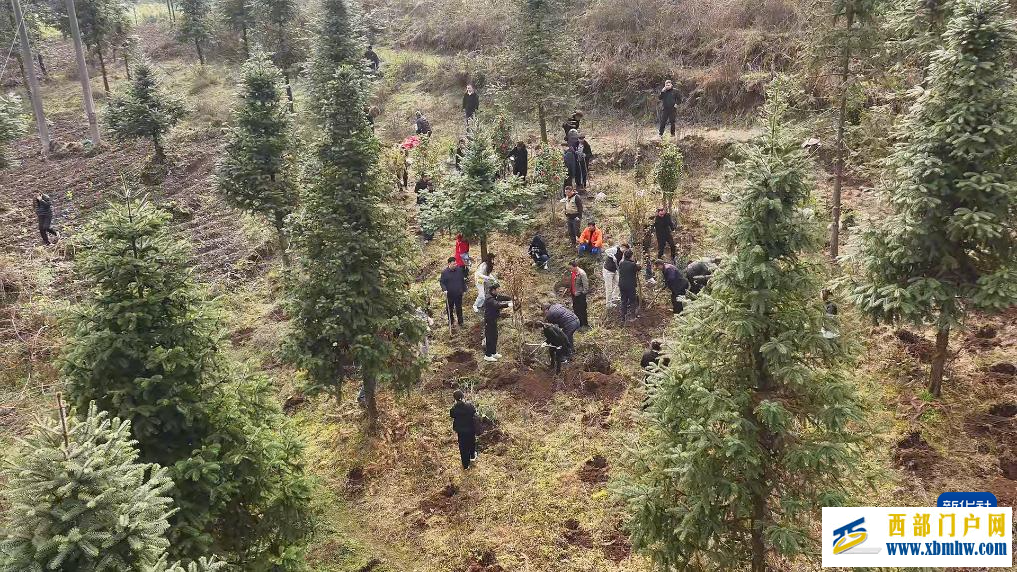 云南多地开展植树活动(图1) 云南多地开展植树活动(图1)