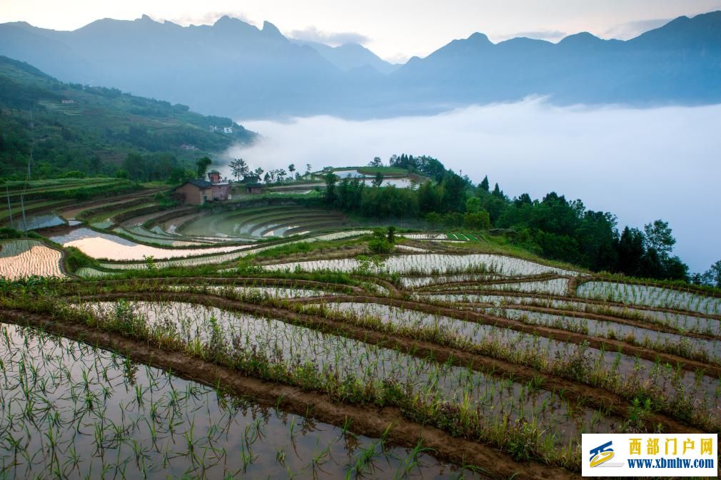 汉阴凤堰梯田：溪水长流不息 世代润泽村庄(图3)