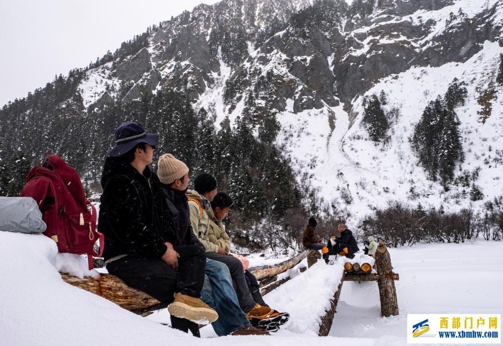 西藏白普隆沟：在漫天风雪中追寻春天(图5)